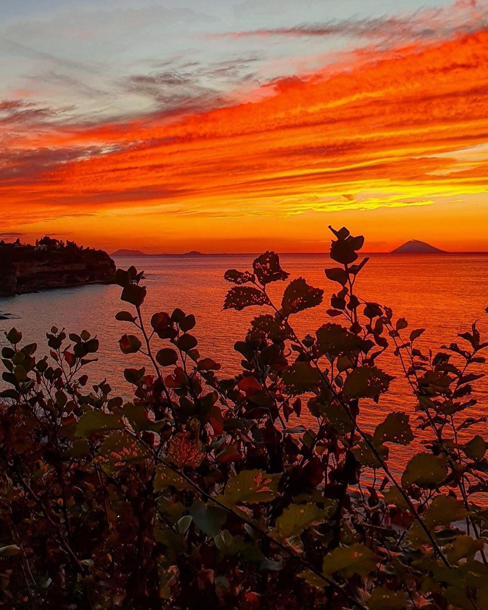 Bloom Tropea Apart otel Ciaramiti Dış mekan fotoğraf